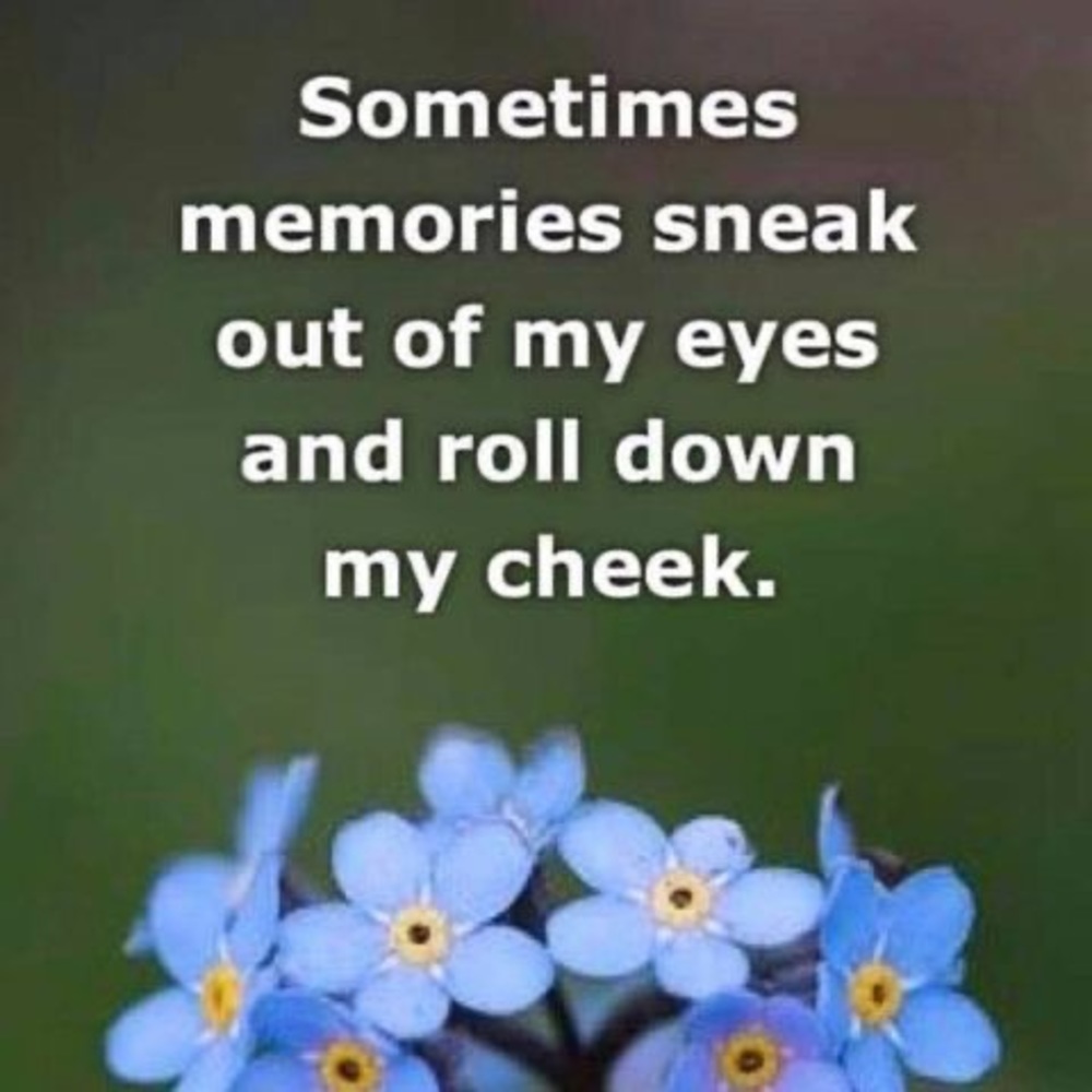 Meet your Posher, Missy